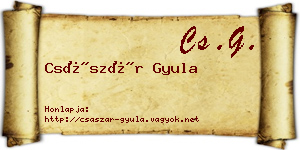 Császár Gyula névjegykártya